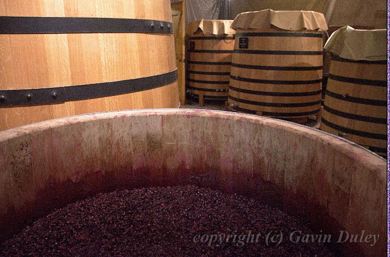 Wine in fermenters, Remoissenet winery, Beaune IMGP2193.jpg